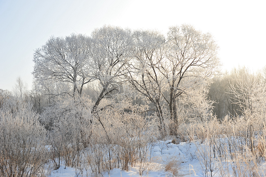 雪景图片