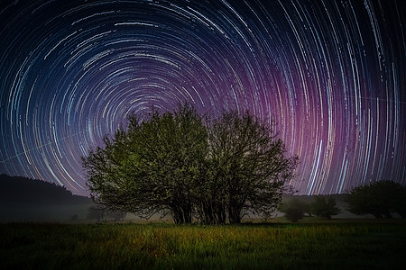 草原星轨星空大树高清图片