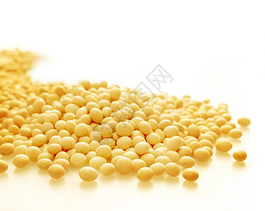 黄豆大豆卵磷脂高清图片