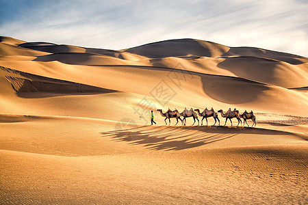 骆驼沙漠沙漠驼队背景