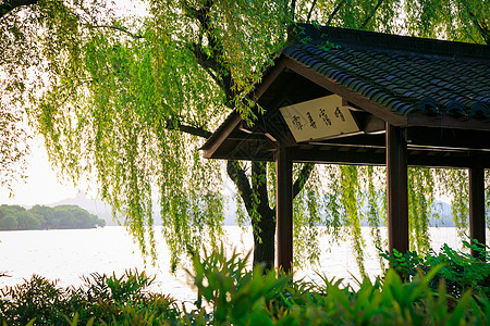 杭州西湖风景摩拜高清图片