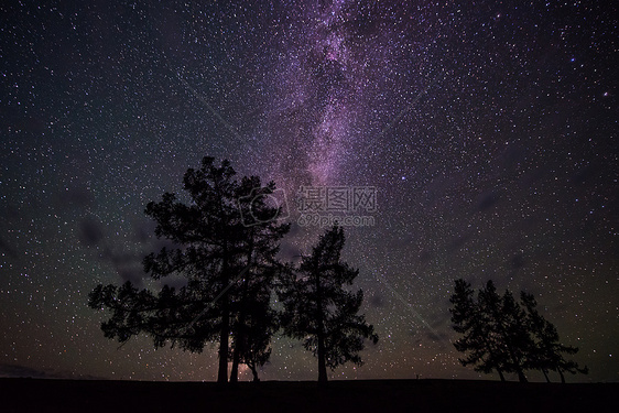 星空下的树图片