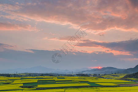 时光风景云南罗平县油菜花海晚霞背景