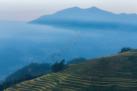 雾中山湖南紫鹊界梯田云海自然美景背景