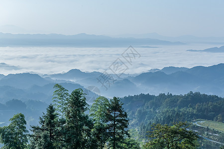 森林雾湖南紫鹊界云海背景