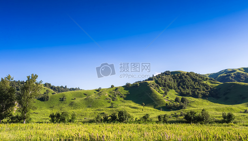 新疆那拉提草原美景图片