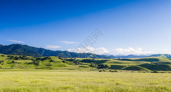 高山草原新疆那拉提草原美景背景