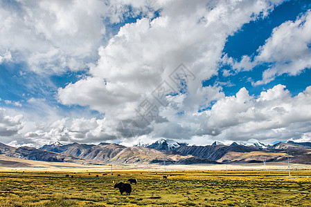 西藏朝拜西藏风光背景