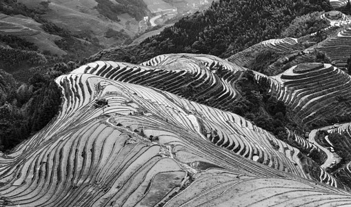 龙水墨龙的脊梁背景