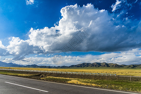 油菜花背景公路沿途美景背景