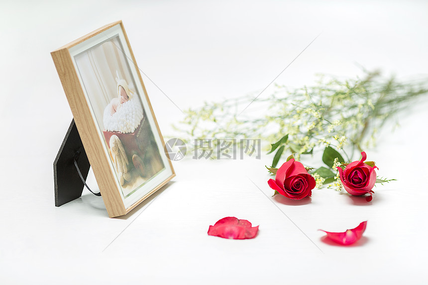 浪漫玫瑰花图片