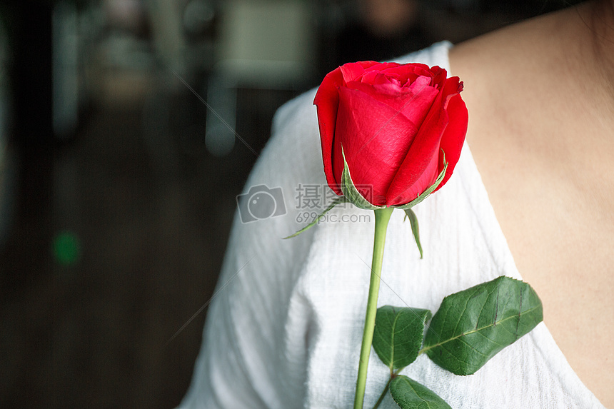 浪漫七夕手握玫瑰的少女图片