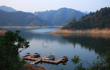 黄山栾树黄山风景背景