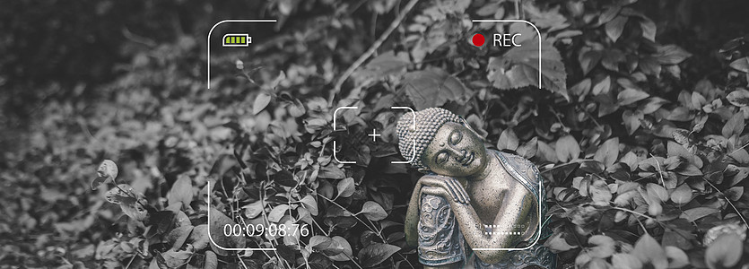 聚焦新秀成长与巨星表现数据揭秘赛场内外的风云变幻