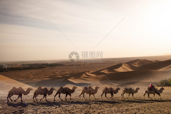 沙漠旅行剪影图片