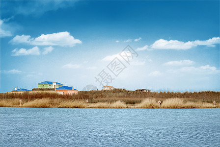 芦苇湖湖中小岛背景