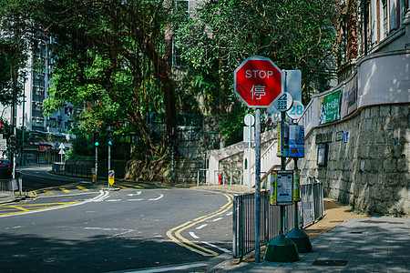 停车指示牌香港大学内一条幽静的交通公路背景