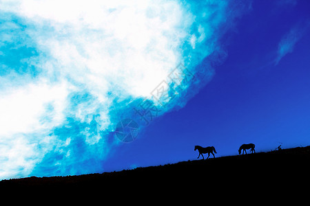蓝天白云下草地上的马图片