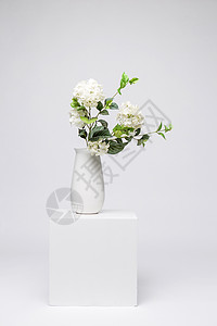 鲜花家居白色静物素材高清图片