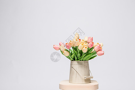 郁金香白底鲜花素材背景图片