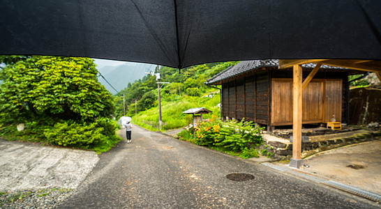 黑树林雨后伞下的乡村景色背景