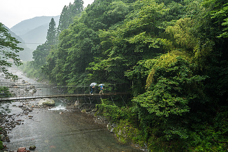 双人旅行山林里的吊桥背景