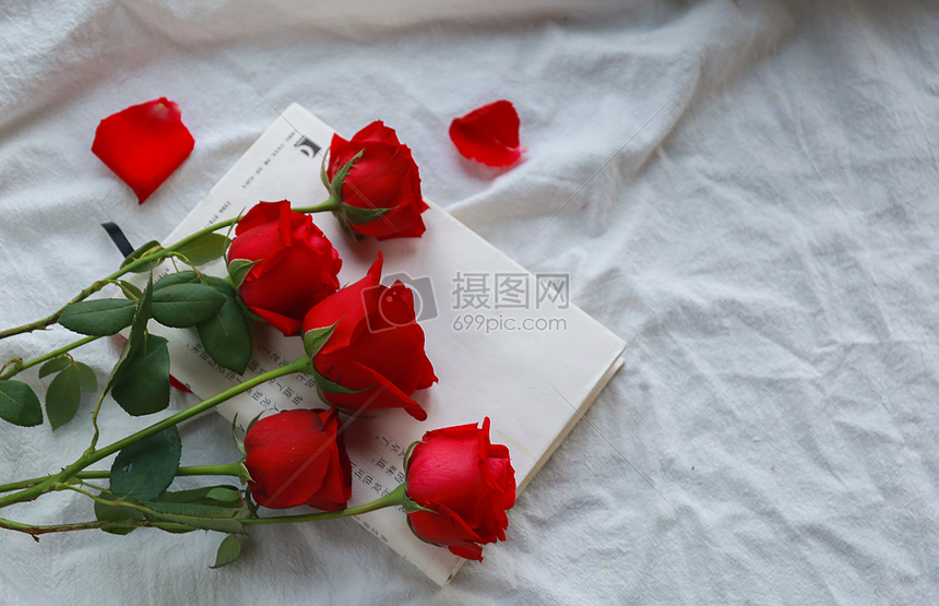 玫瑰花情人节素材图片