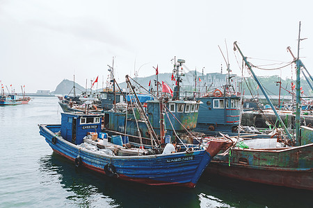 港口渔船海边的渔船背景