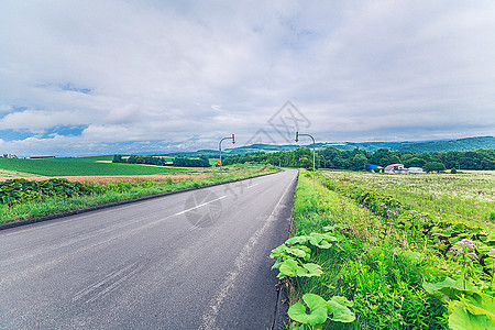 日本北海道美瑛拼布之路背景图片