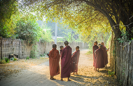 缅甸僧人缅甸僧侣背景