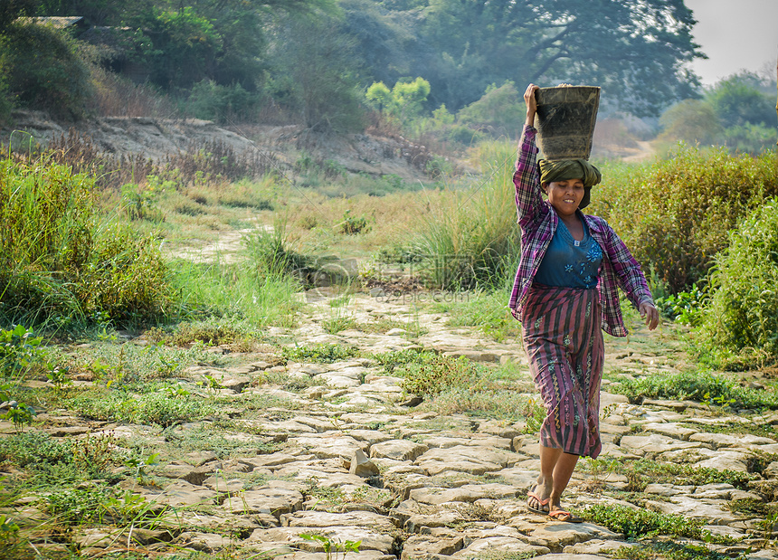 缅甸田间劳作的妇女摄影图片免费下载_人物图