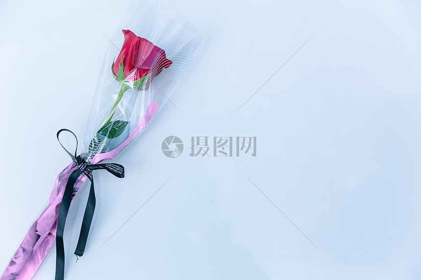 情人节玫瑰花留白素材图片