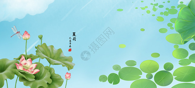 荷花无暇白莲花高清图片