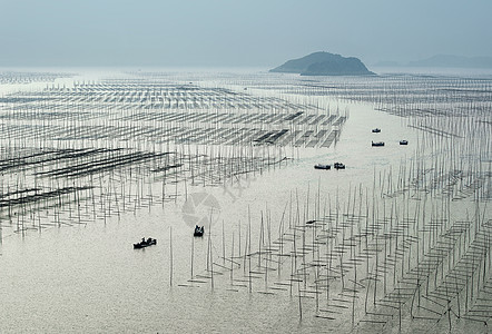 风景灰色清晨，大海和出海的渔船背景