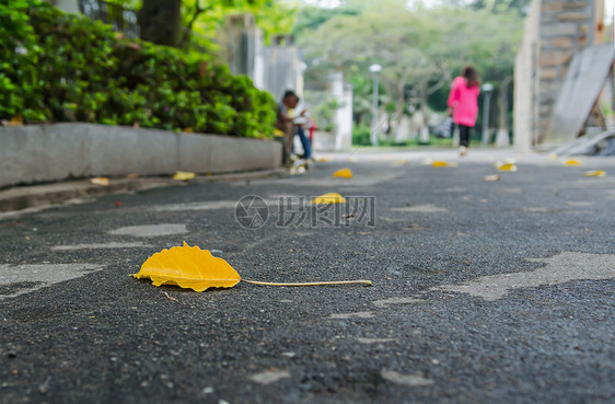 街边路面上的图片