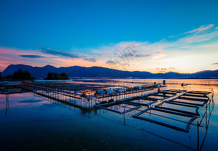 云南抚仙湖湿地晚霞背景