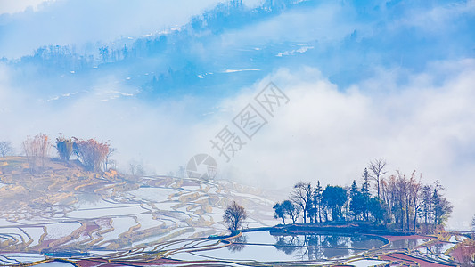 梯片云南元阳梯田晨雾背景