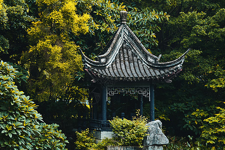 秋天树林元素夏末树林中的一座凉亭背景