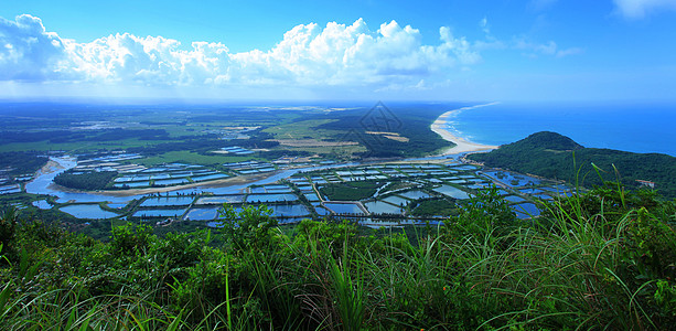 稻田阳光海南风光背景