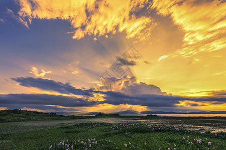 黄昏草地公园湿地夕阳背景