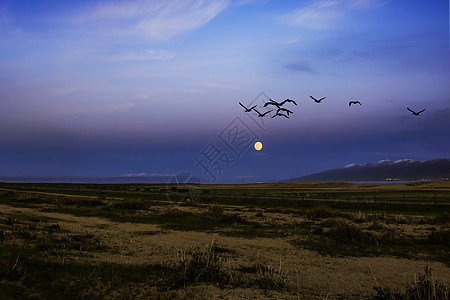 中秋天空中秋节青海湖月色背景