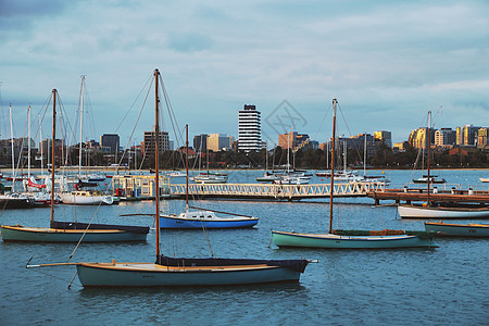 澳大利亚墨尔本港湾的帆船高清图片