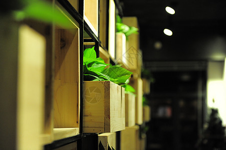 书架上的绿植绿萝图片