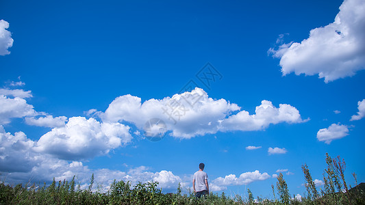 草丛小清新背景蓝天白云背景