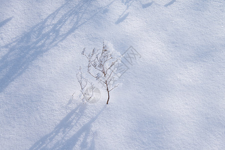 冬天雪地纹理素材背景图片
