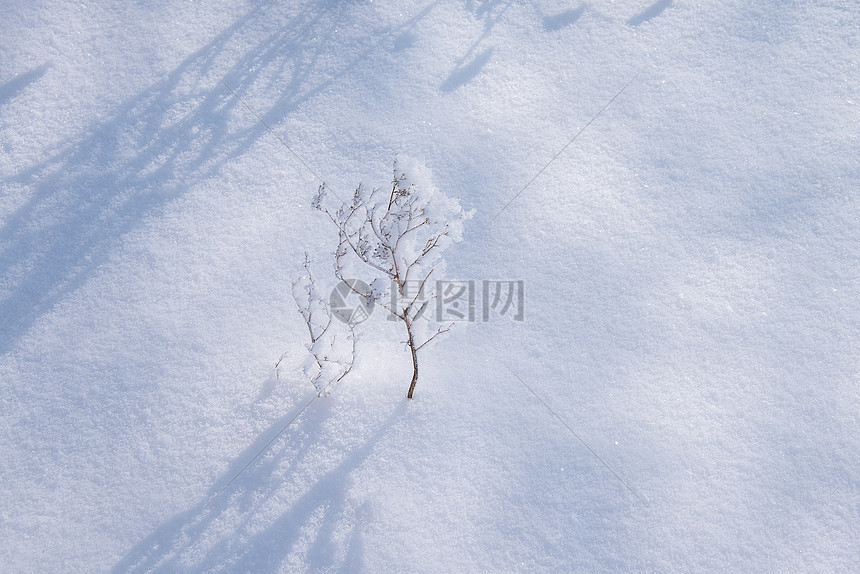 冬天雪地纹理素材图片