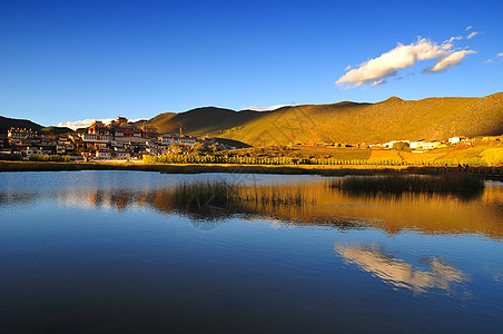 藏族寺庙香格里拉 松赞林寺背景