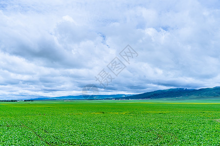 气象云新疆草原自然风光背景