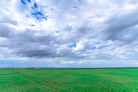 闪电乌云新疆草原自然风光背景