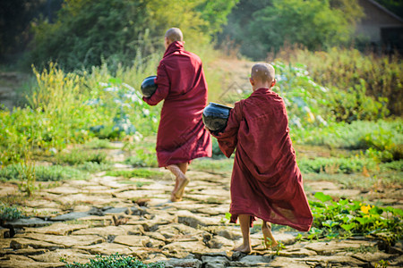 外出旅游缅甸小僧侣外出化缘背景